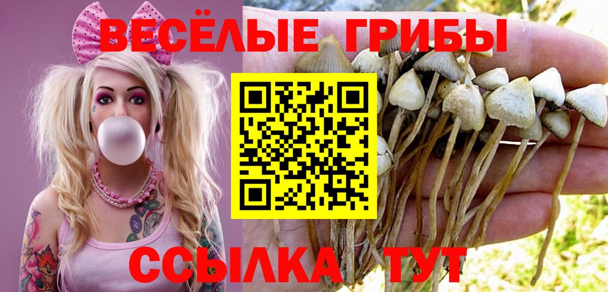 Галлюциногенные грибы ЛСД Воркута